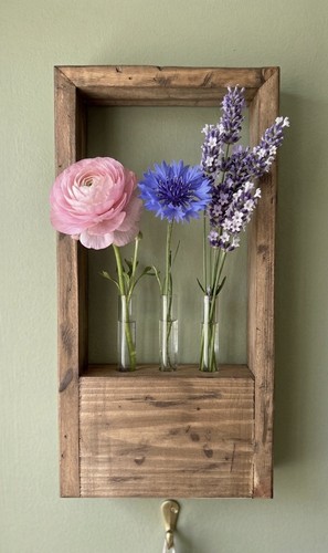 Wall hanging plant propagation - wall,