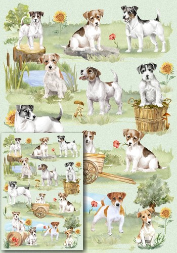 Jack russell terrier dog gift - dog,
