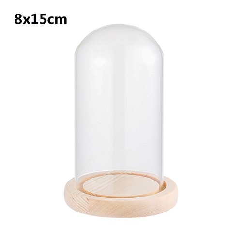 Glass dome display bell - bell, jar