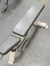 Precor Icarian Adjustable