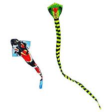 Huge Size Kite with 100M Line 3D Single Line Kite for Garden