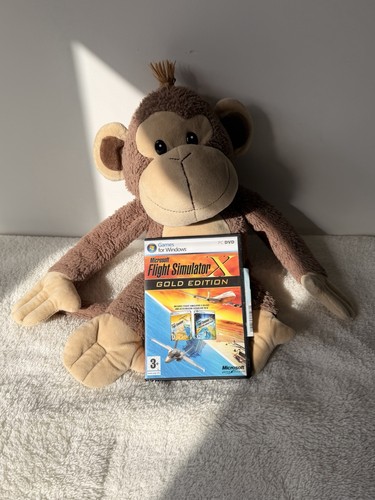 Microsoft flight simulator - flight,