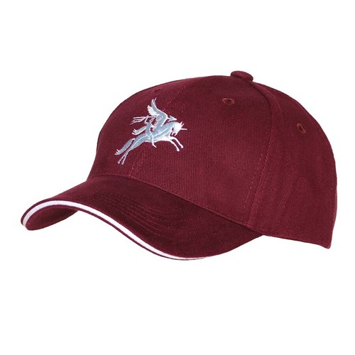 Maroon para pegasus baseball - para,