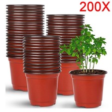 200 Garden Plastic Plant