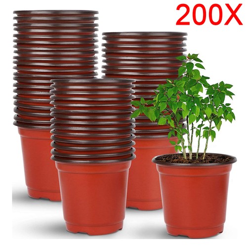 200 garden plastic plant - garden,