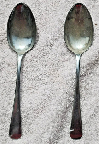 Medallion stainless spoons - stainless,