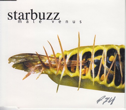 Starbuzz male venus - -,