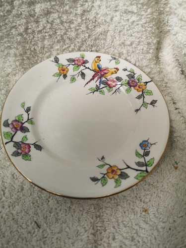 Crown staffordshire gold - crown,