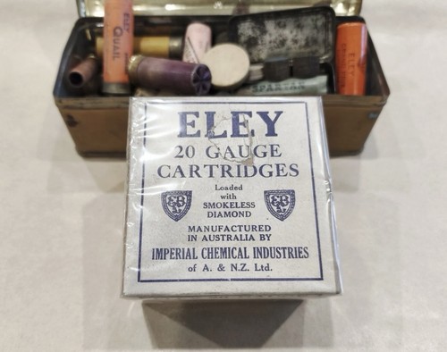 Empty shotshell shotgun gun - empty,