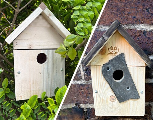 Bird house - house, box)