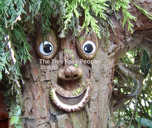 Outdoor tree decoration - decoration,,