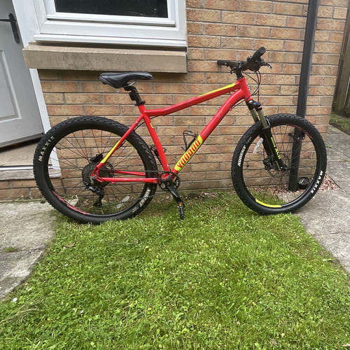 Voodoo 29in mountain bike - mountain,