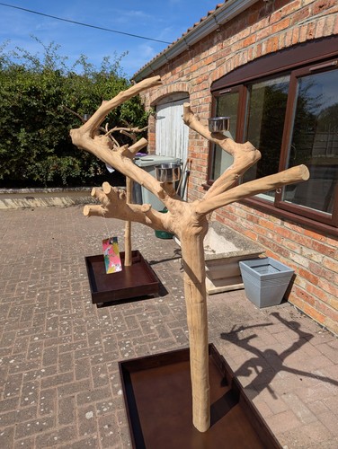 Parrot stand kiln dried coffee - stand,