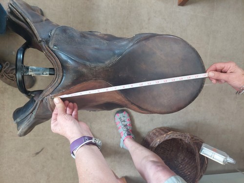 Premier equine saddle - ,