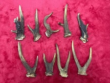 9 PIECES OF FANCY ROE DEER