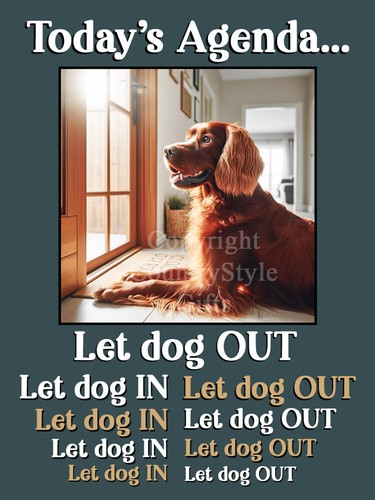 Red irish setter dog funny - irish,