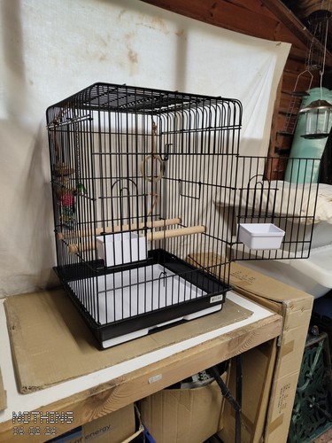 Bird cage - bird,