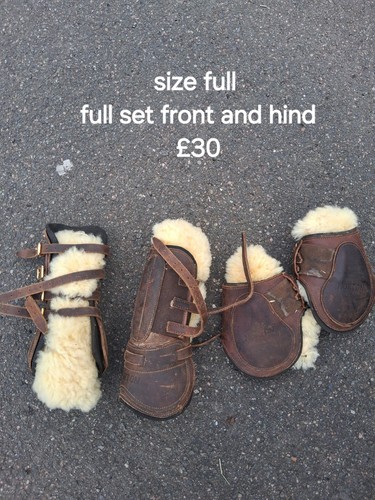 Tendon and fetlock - tendon, boots
