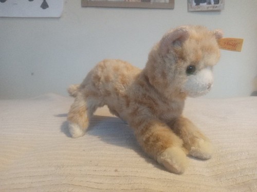 Steiff knopf ohr ginger - knopf,