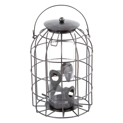 Large wild bird - large, seed