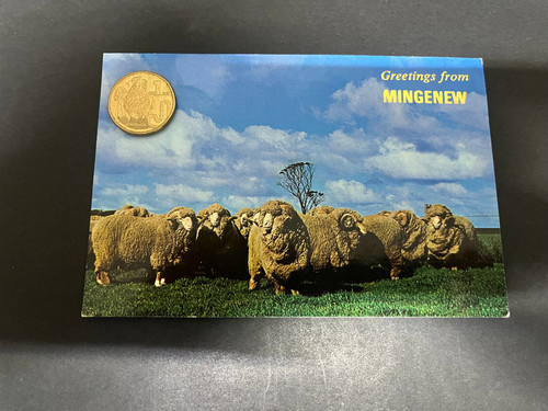 Australia sheep postcard - (209),
