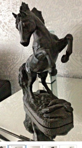 Beautiful stunning rare horse - rare,