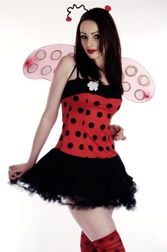 Ladies sexy lady bug bird - sexy,