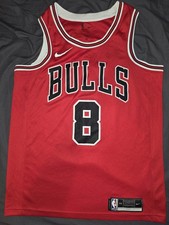 Zach LaVine Bulls Icon Edition