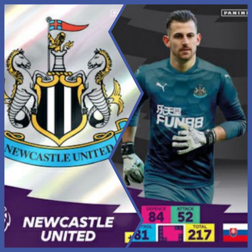 Newcastle united panini - newcastle,