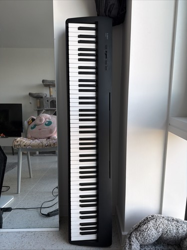 Kawai es60 digital stage - kawai,