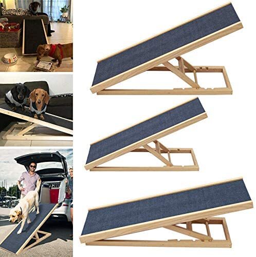 Adjustable height dog car - adjustable,