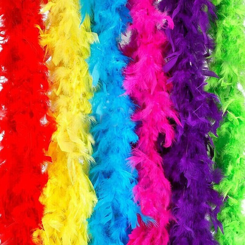 Feather boa costume - 2m,