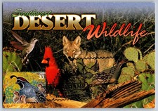 #3293d Sonoran Desert Gambel