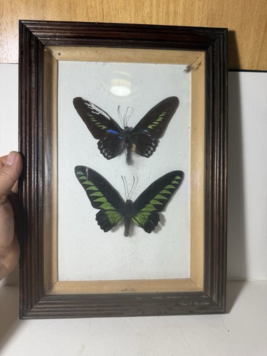 Vtg framed rajah - vtg,