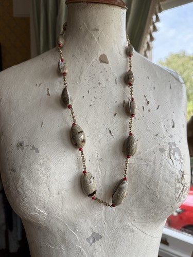 Vintage 1960s cowrie - cowrie, shell