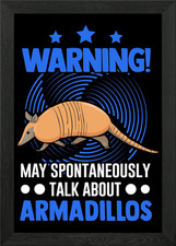 Armadillo Gift Framed Wall Art