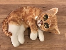 Cute Winstanley Ginger & White