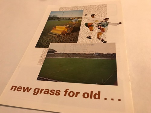 Sisis new grass for - sisis,