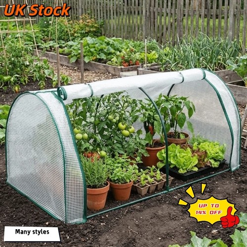 Mini plant greenhouse plastic - plant,