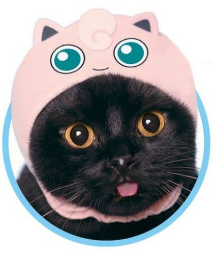Pokémon jigglypuff pink - jigglypuff, cat