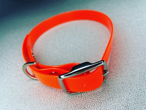 9mm ferret collar single - ferret, item