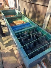 Filter System And Vortex