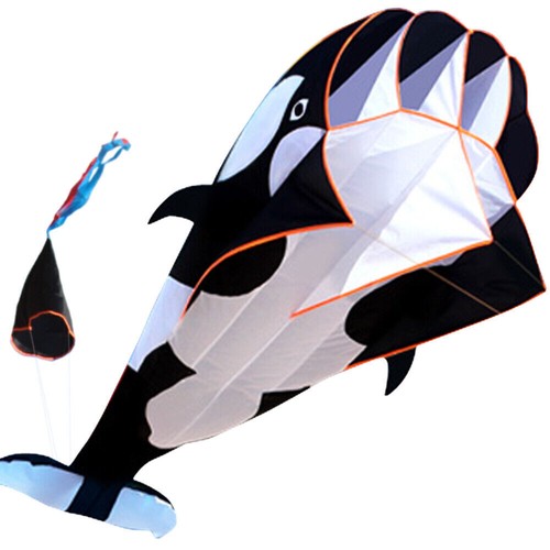 New large dolphin - dolphin, kite