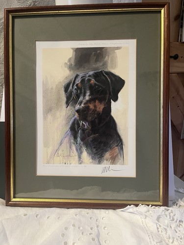 Mick cawston head - cawston., a