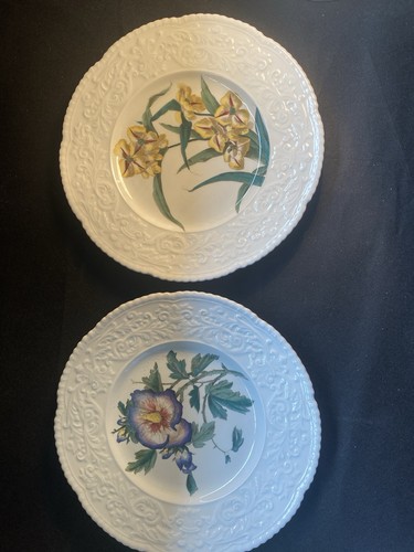 Royal cauldon maywood dinner - royal,