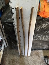 Hazel  Seasoned STICK WALKING