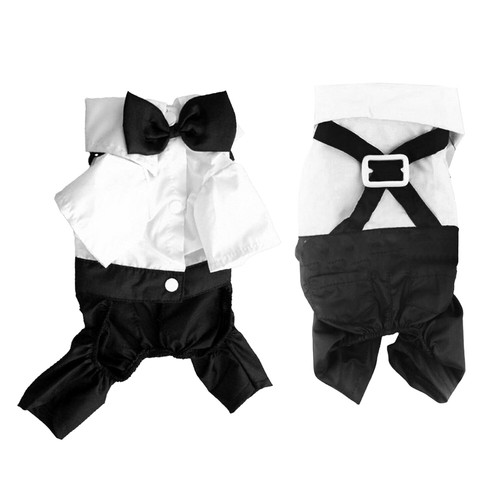 Dog pet puppy ches - uk,