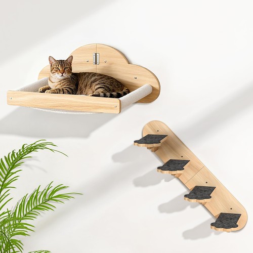 Wall mounted cat - cat, with
