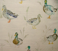 Voyage Maison Paddling Ducks