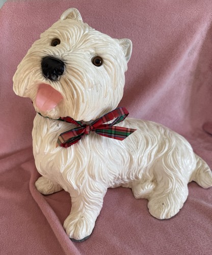 Large westie dog west - large,